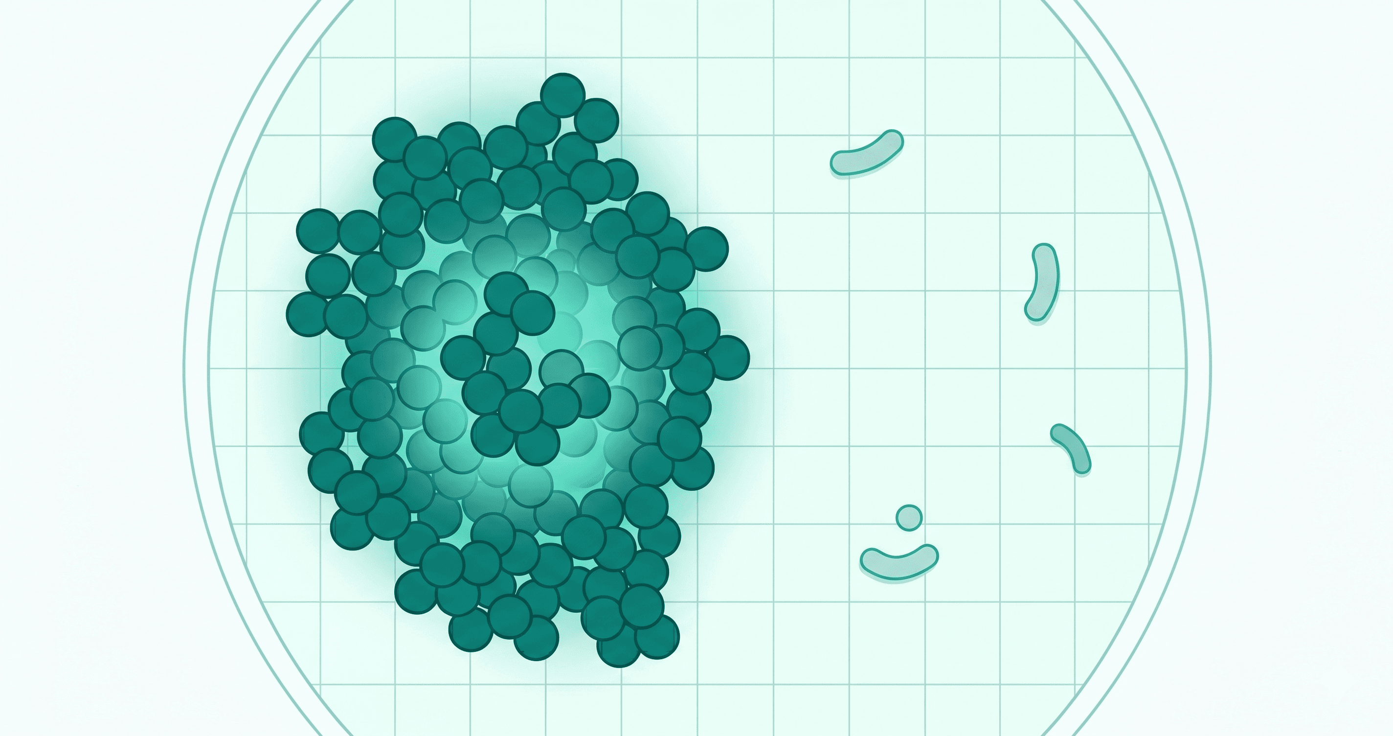 Eczema and the Skin Microbiome: The Staphylococcus Connection
