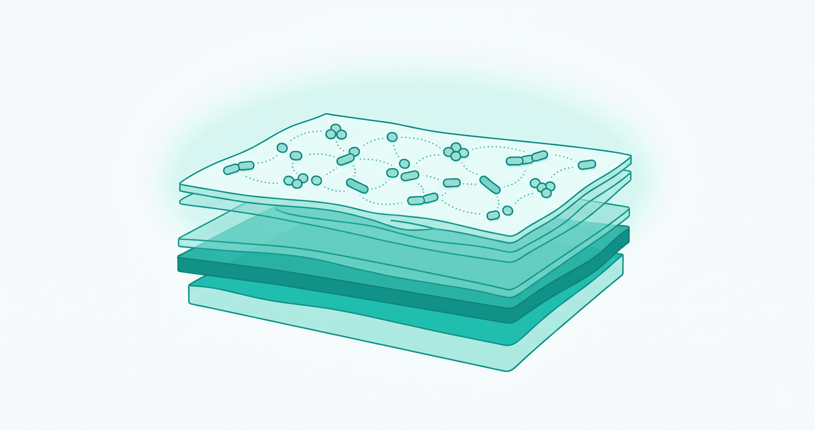 Your Skin Microbiome: What Lives on Your Skin and Why It Matters