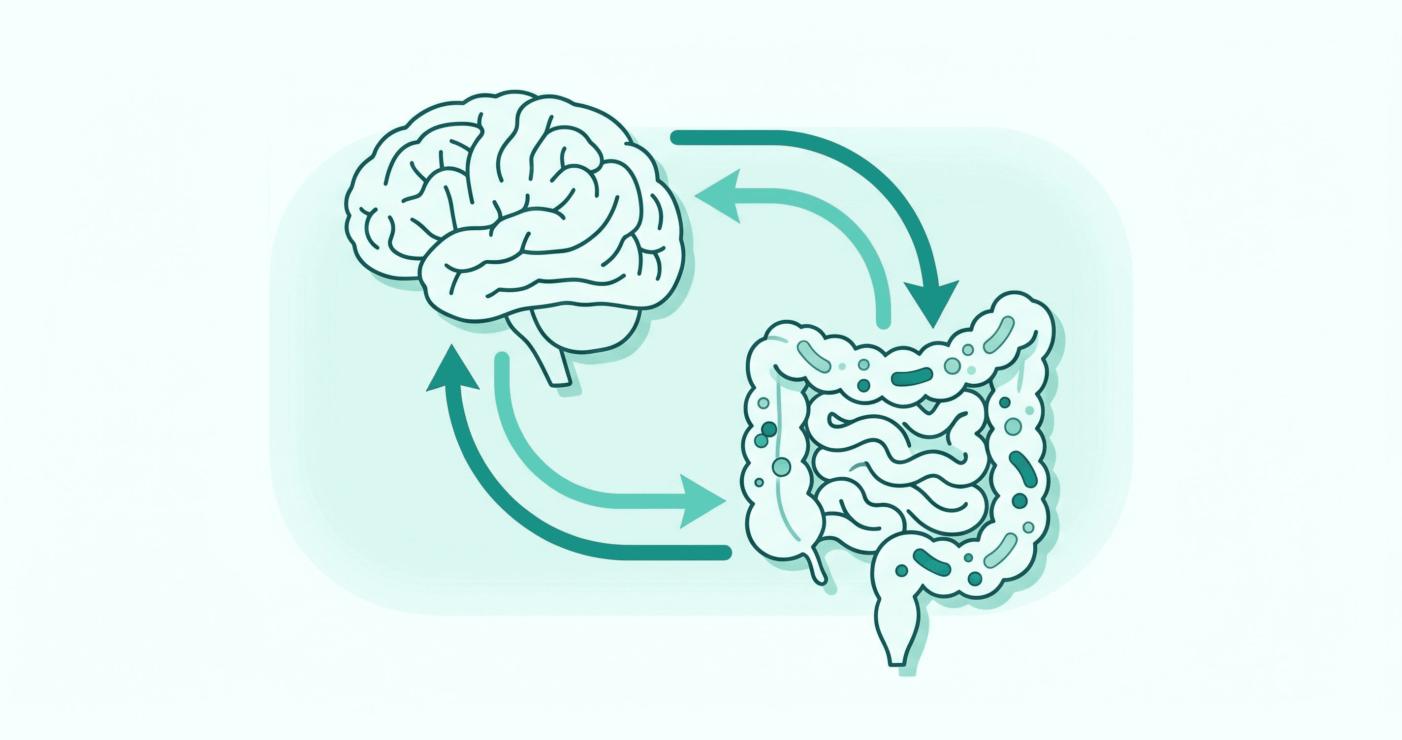 How Stress Affects Your Gut: The Two-Way Street
